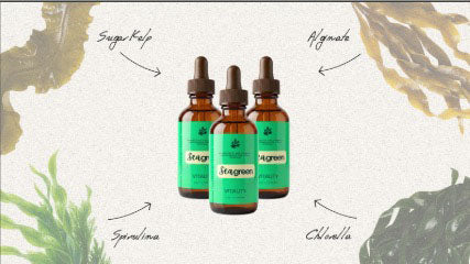 Ingredient breakdown image